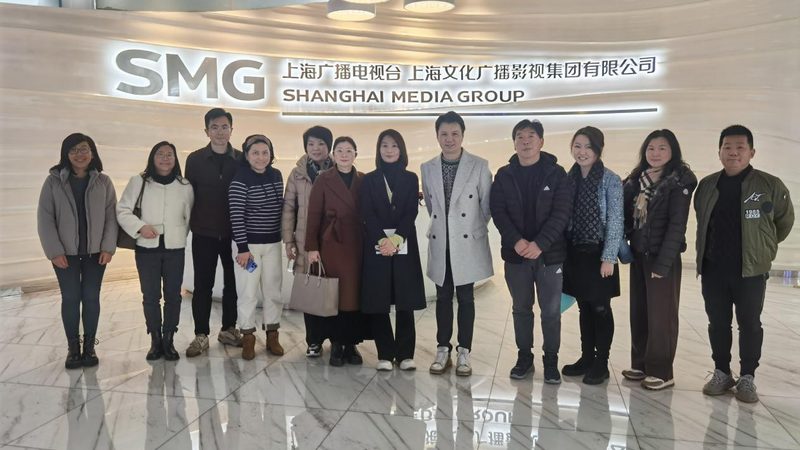 品牌策划与设计：案例解析背后的策略与技巧