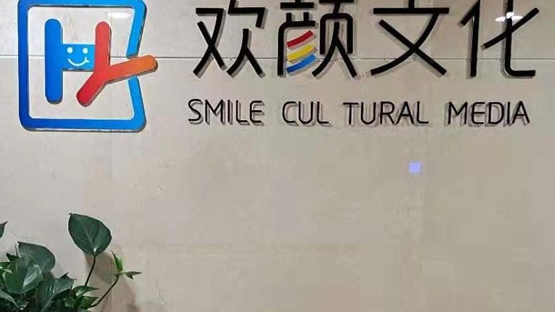 企业宣传片厂家直销，揭秘一手货源优势